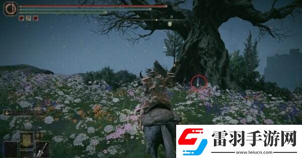 艾尔登法环金黄色编发怎么获得