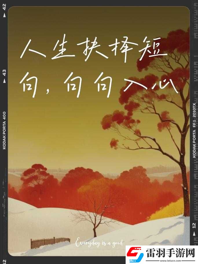 被夹在中间的磨心