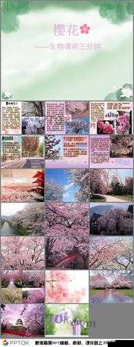 樱花成品