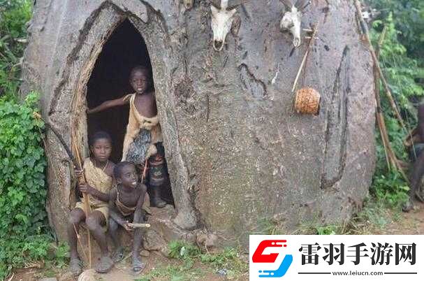 非洲人与性动交