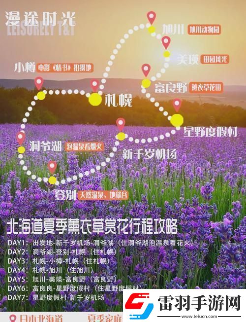 “薰衣草研究所入口隐藏之谜”