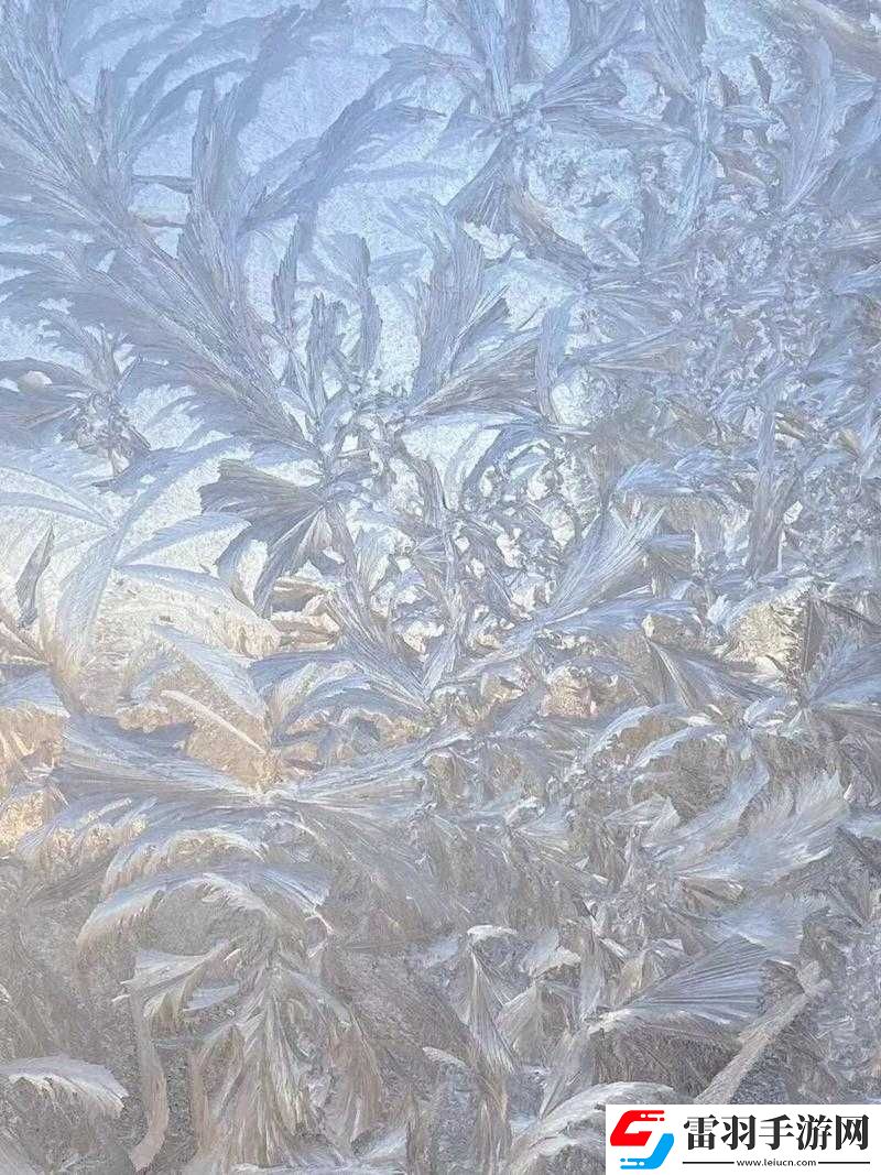 趴在玻璃窗做给别人看的独特视角视频呈现