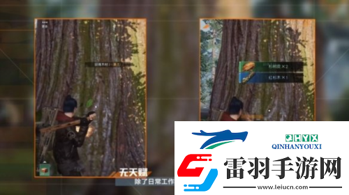 黎明觉醒采集怎么没有经验了