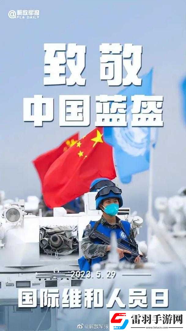 中国蓝盔
