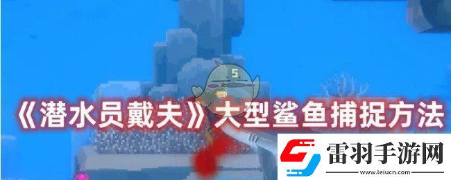 潜水员戴夫怎么捕捉大型鲨鱼
