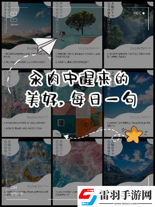 每天都在汆肉中醒来与奶油尖尖相伴的奇妙生活