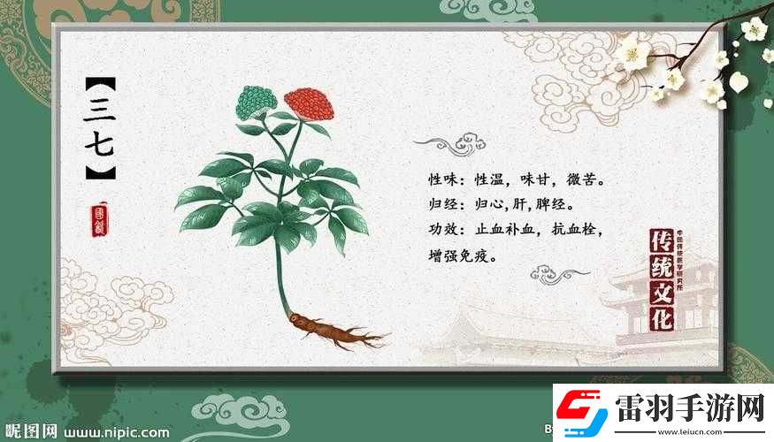 三七大但人文艺术免费