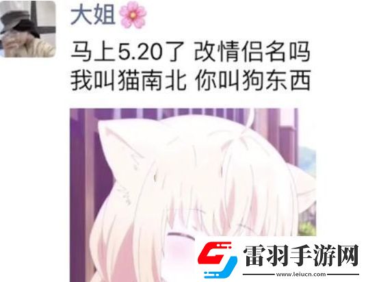 猫南北狗东西是什么梗络用语猫南北狗东西梗意思及出处分享