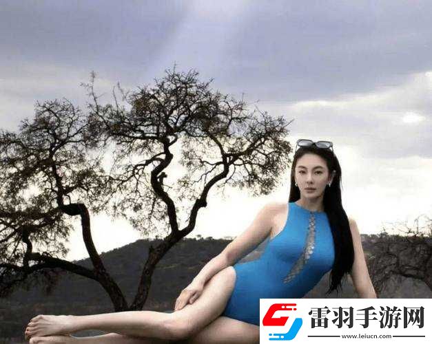 张雨绮人文艺术欣赏