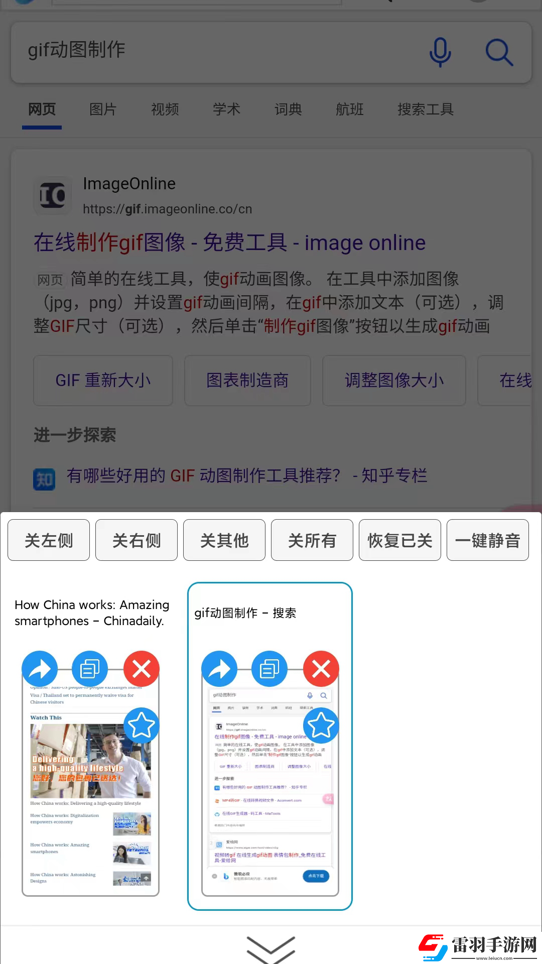 大海浏览器