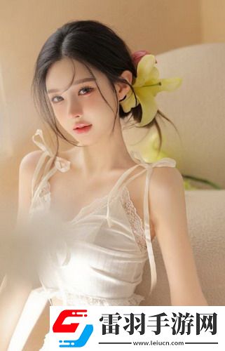 十大免费cad网站33333超清版