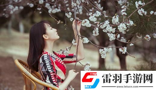 小蝌科旧版本黄板免费