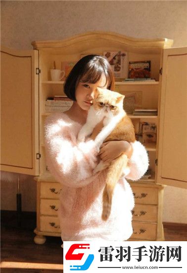 不需下载直接观看入