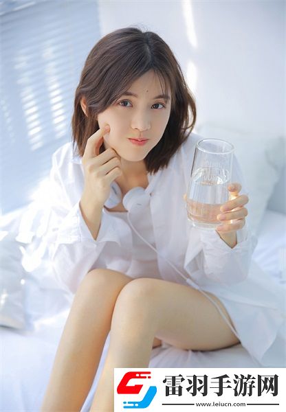 永久免费access进销存软件