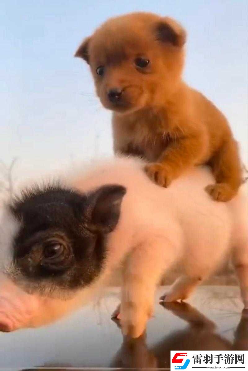 人