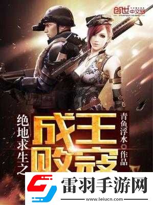 成王败寇