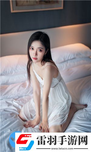 高清mv无字幕视频素材窗口