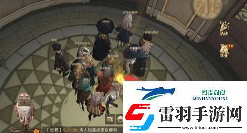 哈利波特魔法觉醒拼图10.13在哪