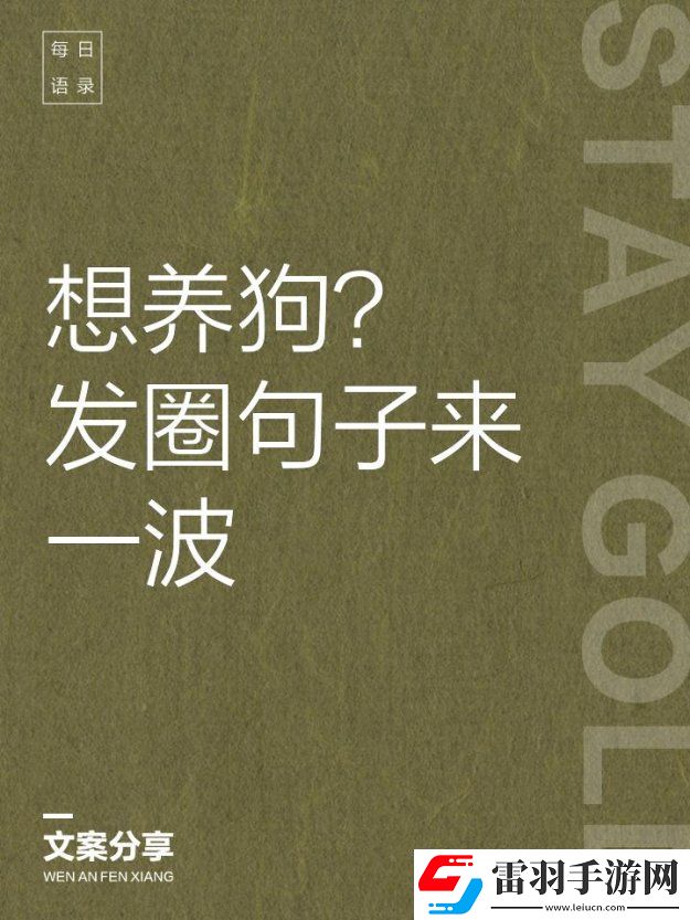 养狗人必看！如何用一句走心文案改变人宠关系