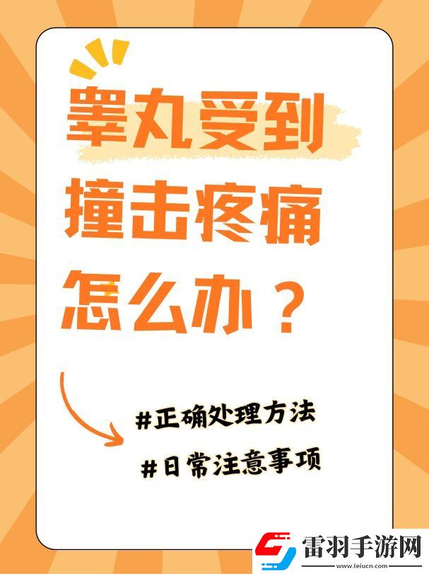 蛋蛋被撞后的72小时自救指南