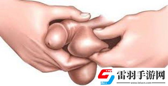 2025年皮筋绑**教程图片