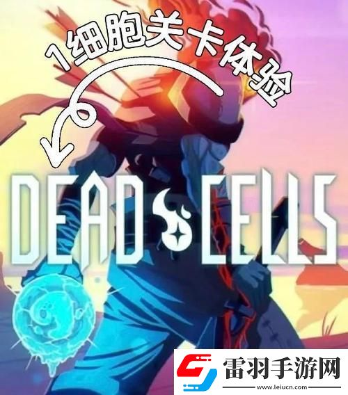重生细胞导入别人的云存档全解析