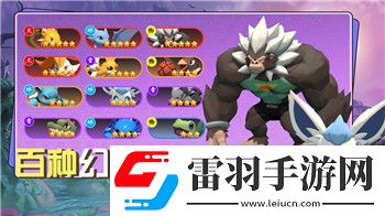 大江湖之苍龙与白鸟大雪山藏宝图怎么用