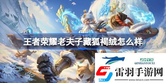 王者荣耀老夫子藏狐褐绒怎么样