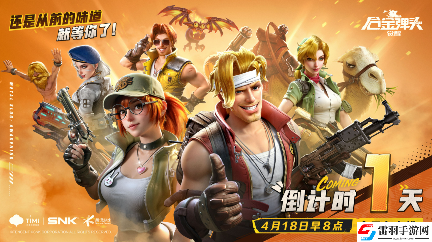 试过合金弹头