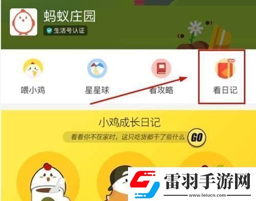 支付宝肥胖的人才会得高血脂