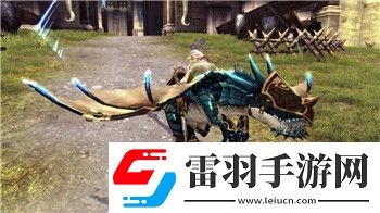 解神者组合搭配详解