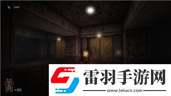 飘流幻境海盗洞怎么下