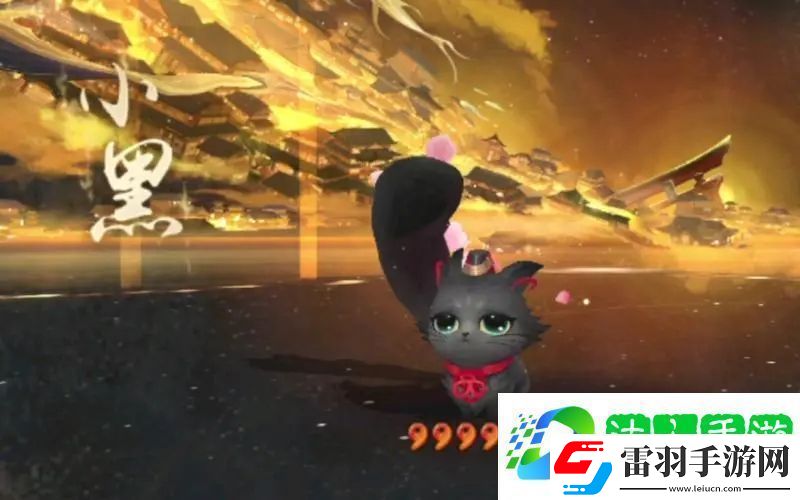 阴阳师契灵小黑结契攻略