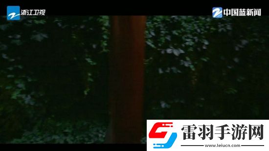 2015小明最新地址获取B站爆款版下载，2015小明最新地址获取圣诞限定皮肤版下载v2.0.0不收费版