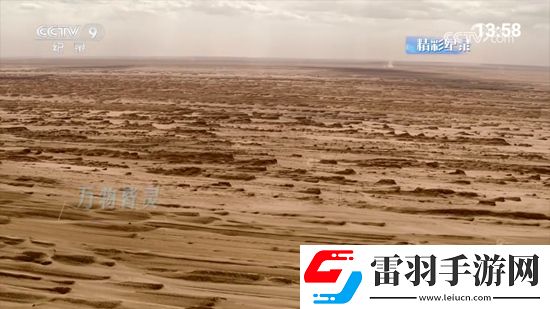 829 t∨小白兔ios免费神装版下载，829 t∨小白兔ios节日签到送豪礼版下载v1.0高清源版