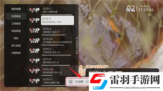 猫咪网页最新访问地址多线养成版下载，猫咪网页最新访问地址塔防无限挑战版下载v3.3.9内置源版