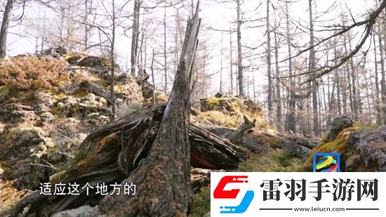 农民伯伯多下妹2国语版我赢但我低调版下载，农民伯伯多下妹2国语版免登录游客体验版下载v5.2.0安卓最新版