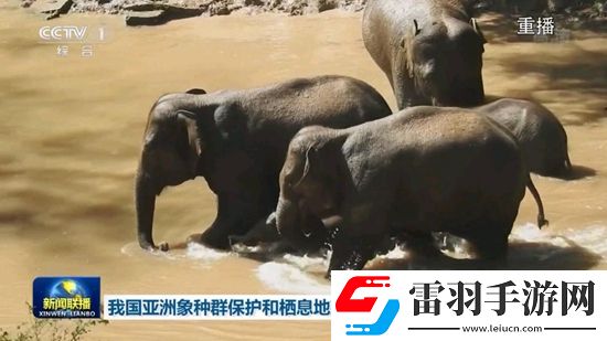 91今日黑瓜吃料fun圣诞限定版下载，91今日黑瓜吃料fun稳定版团战不掉线下载v9.9.9安卓最新版