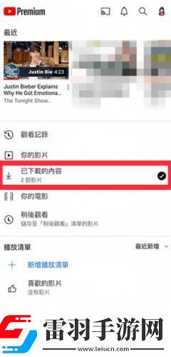 猛虎视频免费观看下载-猛虎视频免费观看下载
