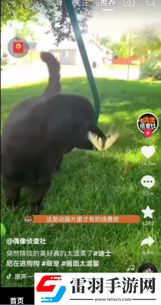 金屏挴5电影免费版网络版下载下载,金屏挴5电影免费版苹果手机版下载下载