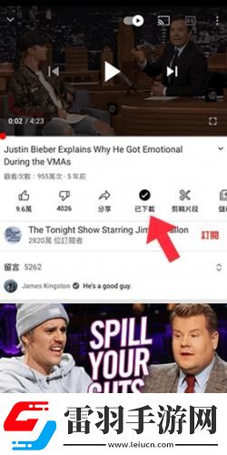猛虎视频免费观看下载-猛虎视频免费观看下载