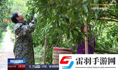 丫丫影院最新电视剧免费下载-丫丫影院最新电视剧免费下载