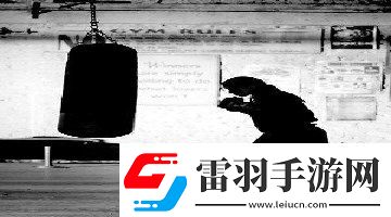 中国大肥胖vpswindows下载下载-中国大肥胖下载vpswindows下载