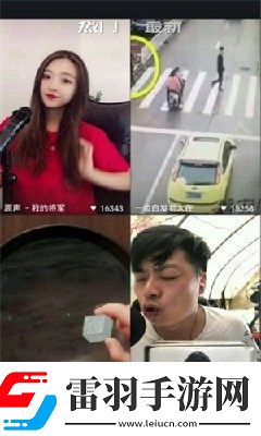 乄hamster9乄乄乄照片下载-乄hamster9乄乄乄照片下载
